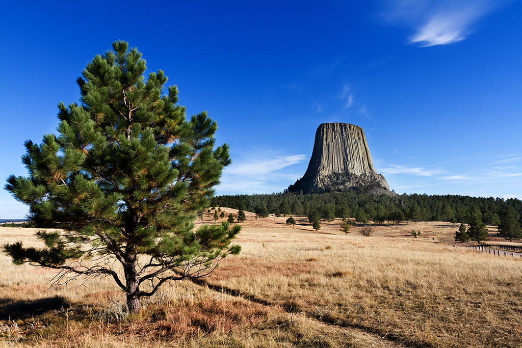 10-07 - 10.jpg - Devils Tower National Monument, WY